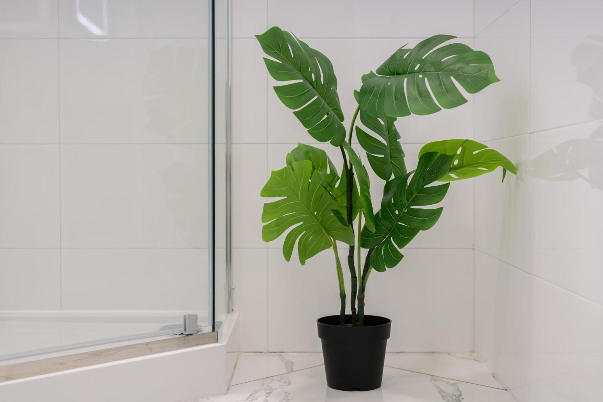 Underground Level Close To The Market Square In By Renters Apartment Poznan